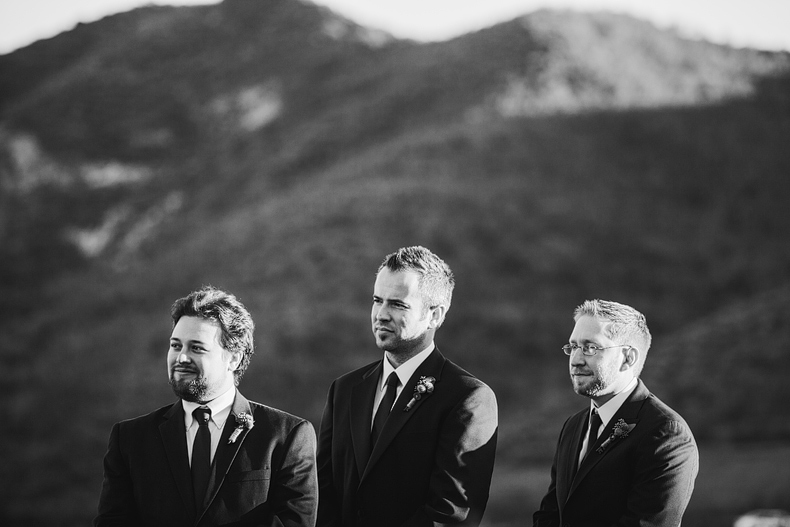 This is a photo of the groomsmen.