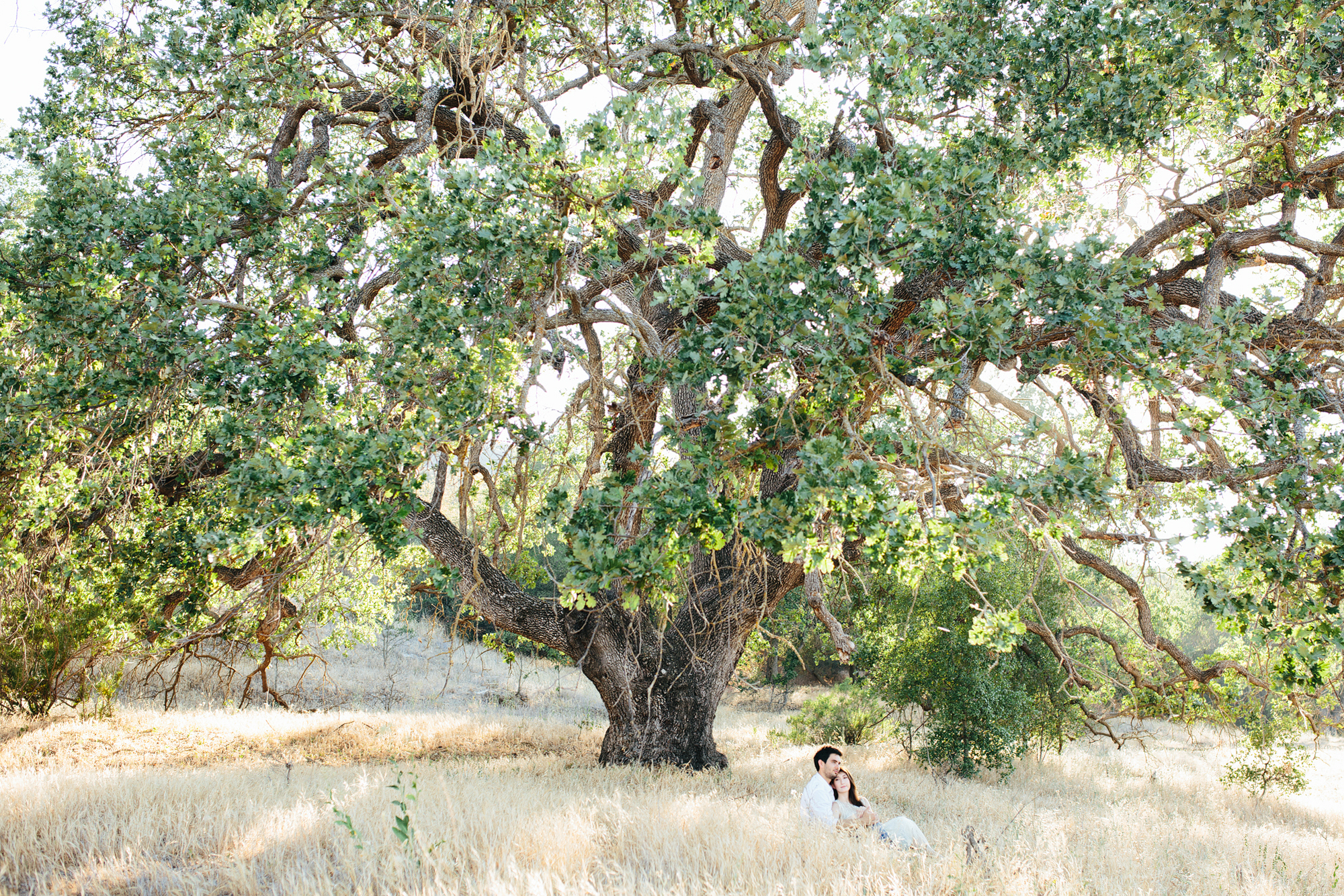 rustic and sweet California engagement: Haley + Matt