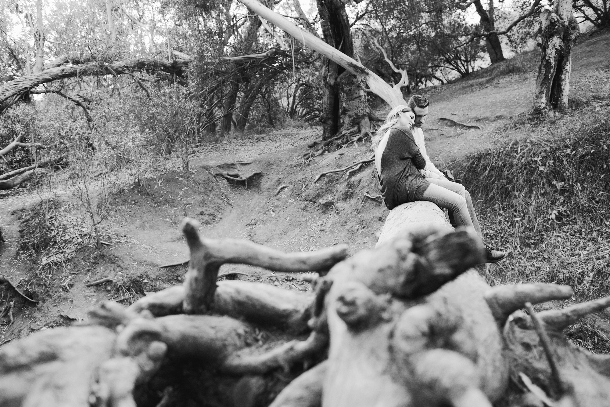 A cool photo of the couple sitting on a log. 